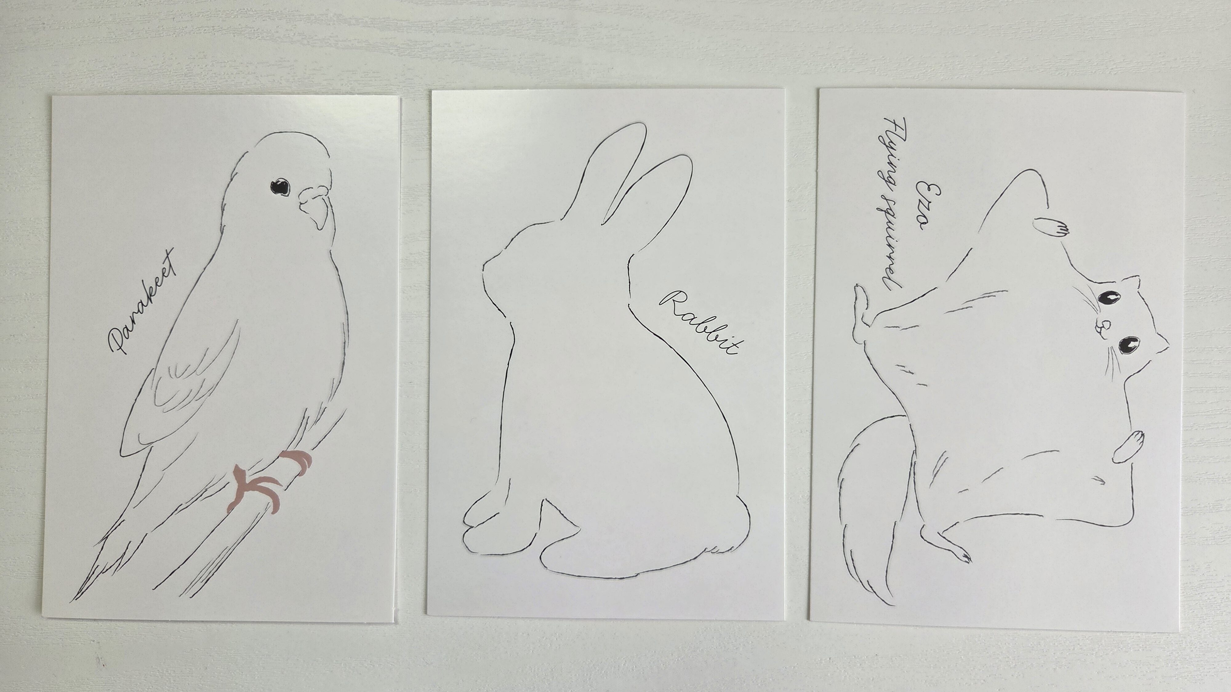 同梱物のイラスト入りカード3枚