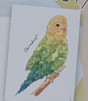 パッケージ完成例:インコ