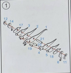 図面①_精密ウッドクラフト恐竜A