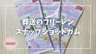 Blogサムネイル_葬送のフリーレン_スナップショットガム
